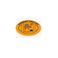 wadebridge rfc logo